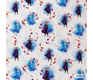 Jersey - Frozen Die Eiskönigin weiß